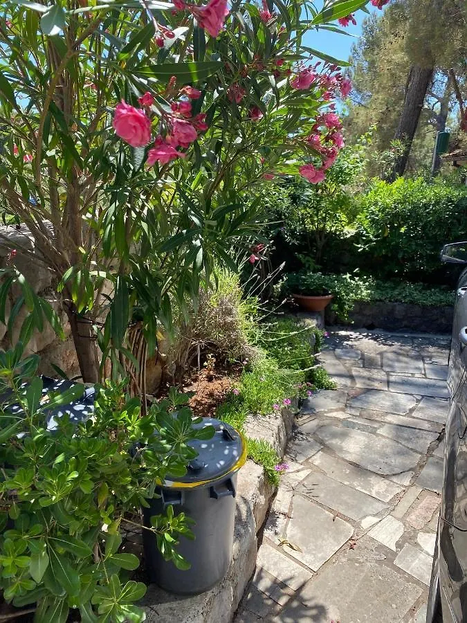 Villa Artatore Mali Losinj 0*,  Croatia
